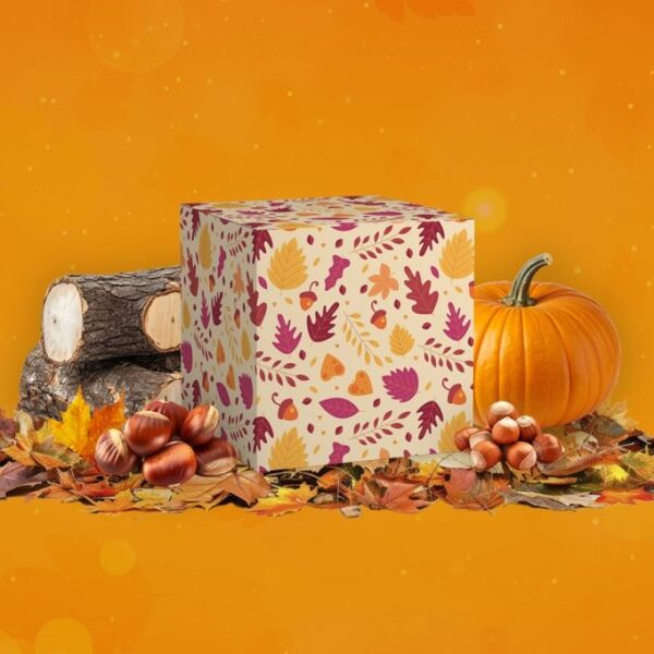 box d'autunno